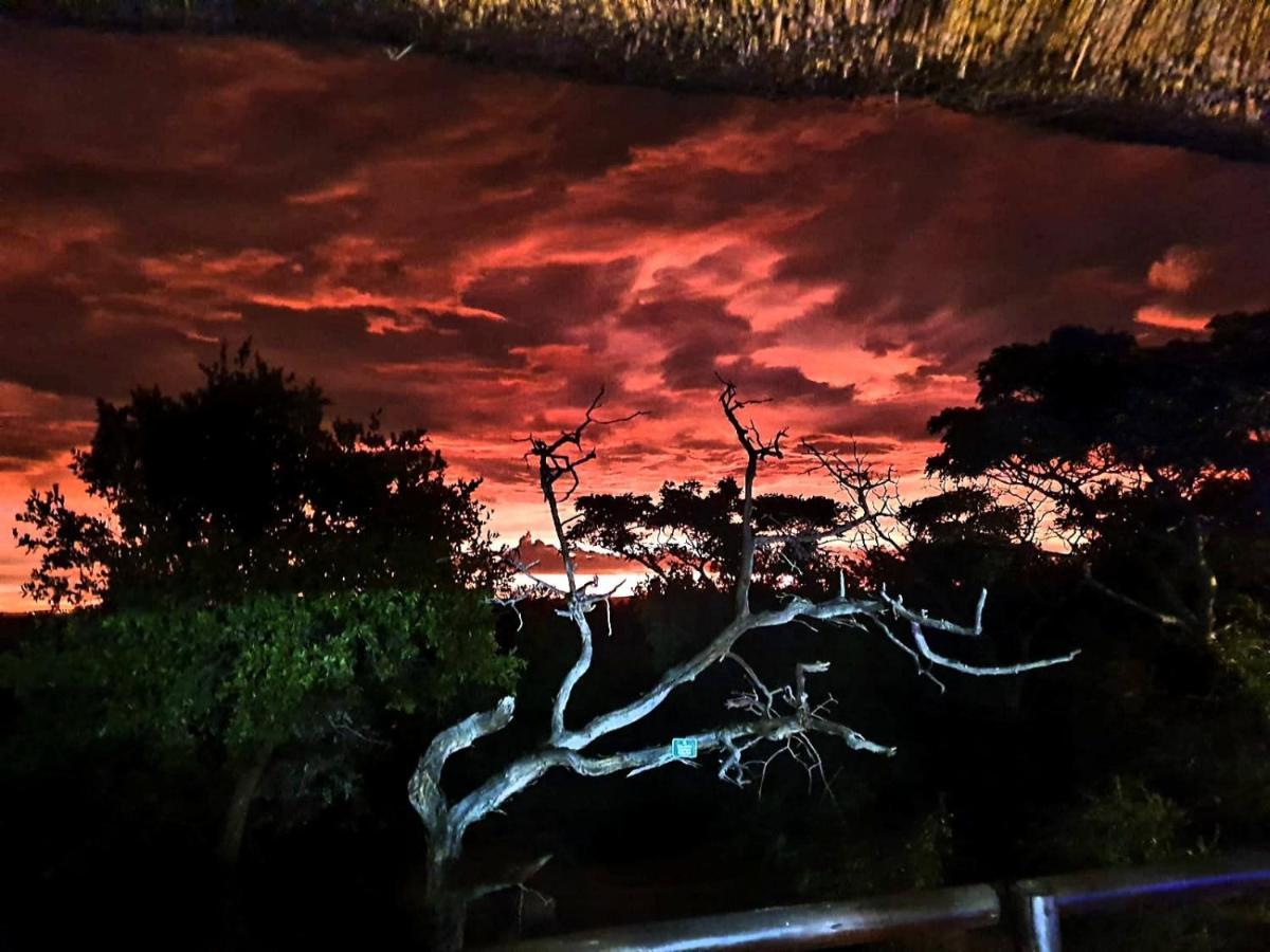 636 Itaga Safari Lodge, Mabalingwe Nature Reserve Mabula Game Reserve Esterno foto
