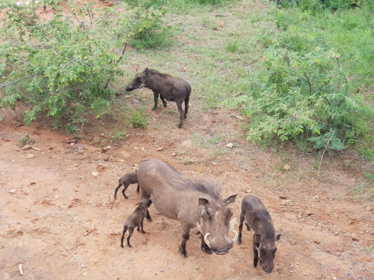 636 Itaga Safari Lodge, Mabalingwe Nature Reserve Mabula Game Reserve Esterno foto