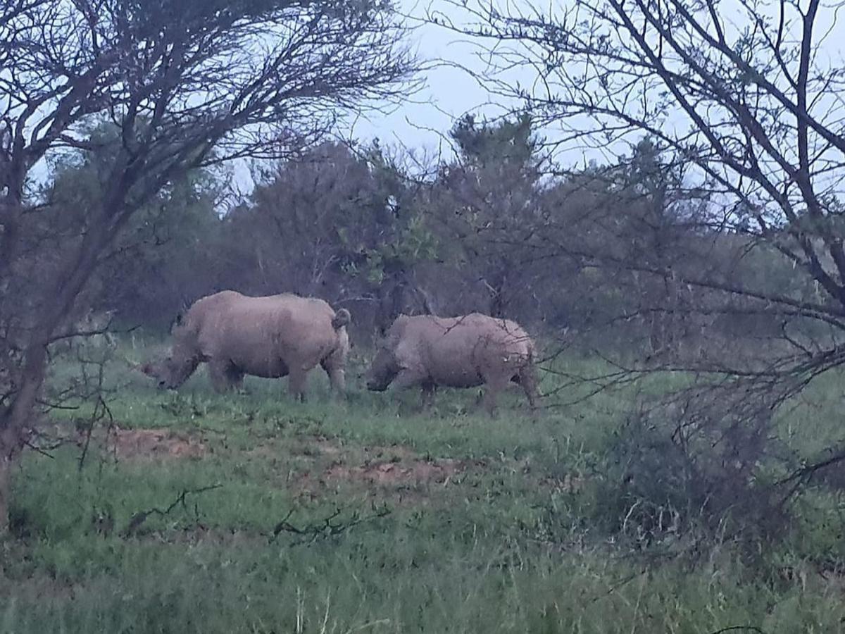 636 Itaga Safari Lodge, Mabalingwe Nature Reserve Mabula Game Reserve Esterno foto